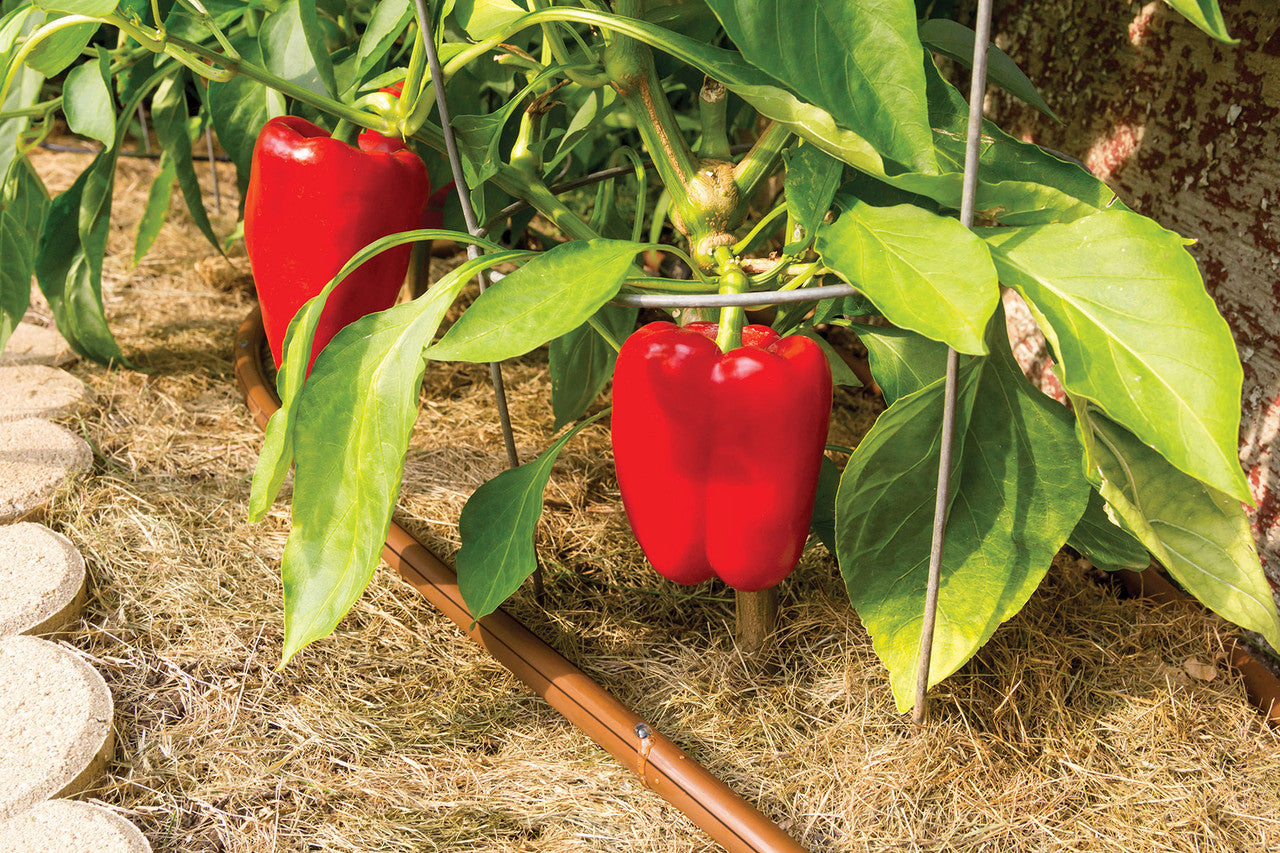 Emitter Tubing Coil - Thumbnail 5