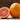 Moro Blood Orange Tree Form