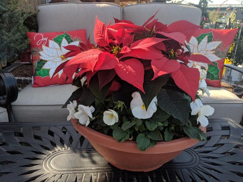 Poinsettia Red Color Bowl - 14 inch