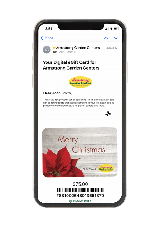 Digital Christmas Poinsettia eGift Card