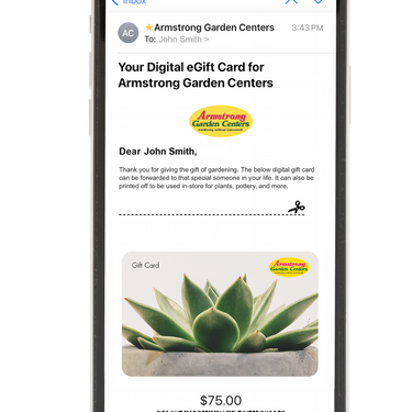 Digital Potted Succulent eGift Card