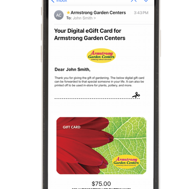 Digital Red Flower eGift Card