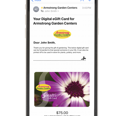 Digital Senetti eGift Card