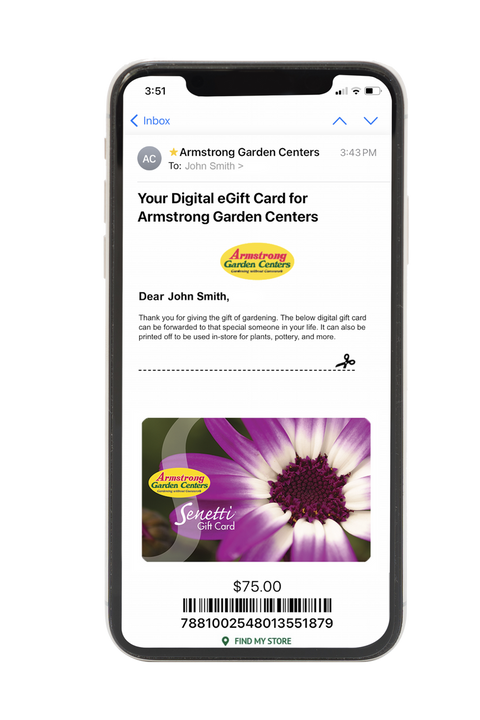 Digital Senetti eGift Card