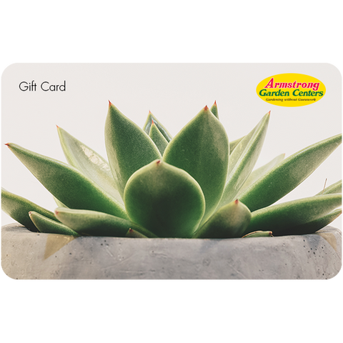 Digital Potted Succulent eGift Card