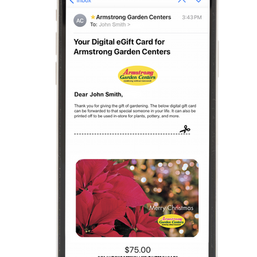 Digital Christmas Twinkling Poinsettia eGift Card