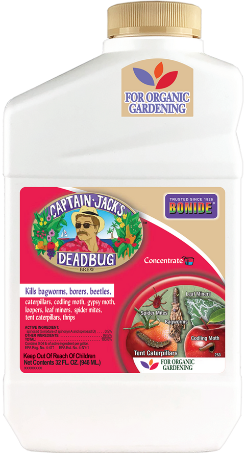 Captain Jack's Deadbug Brew® Concentrate - 32 oz