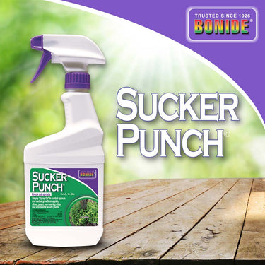 Sucker Punch® Ready-To-Use - 16 oz