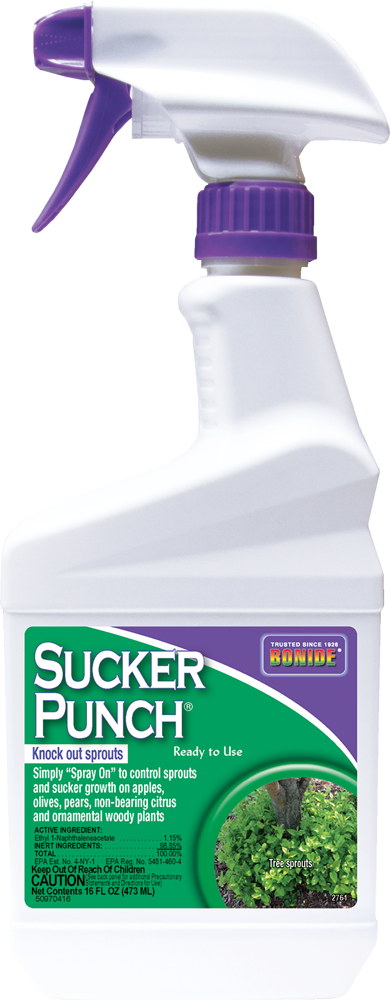Sucker Punch® Ready-To-Use - 16 oz