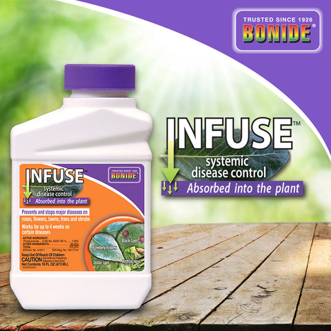 Infuse® Systemic Disease Control Concentrate - 16 oz