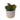 White Earth-Tone Succulent Planter